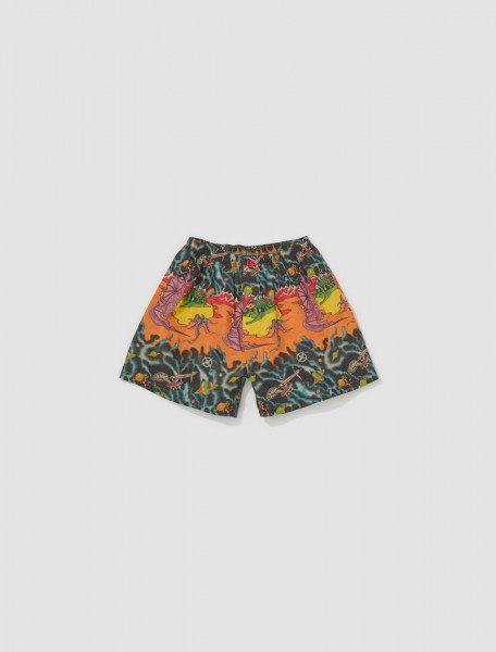 ERL - Boxers in Dragon Print - ERL07UW02