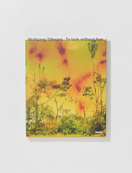 WOLFGANG TILLMANS TO LOOK WITHOUT FEAR