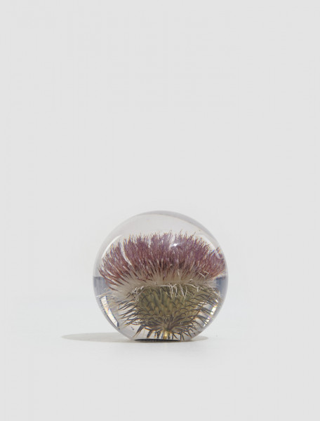 HAFOD GRANGE SMALL OPEN THISTLE PAPERWEIGHT 1000272